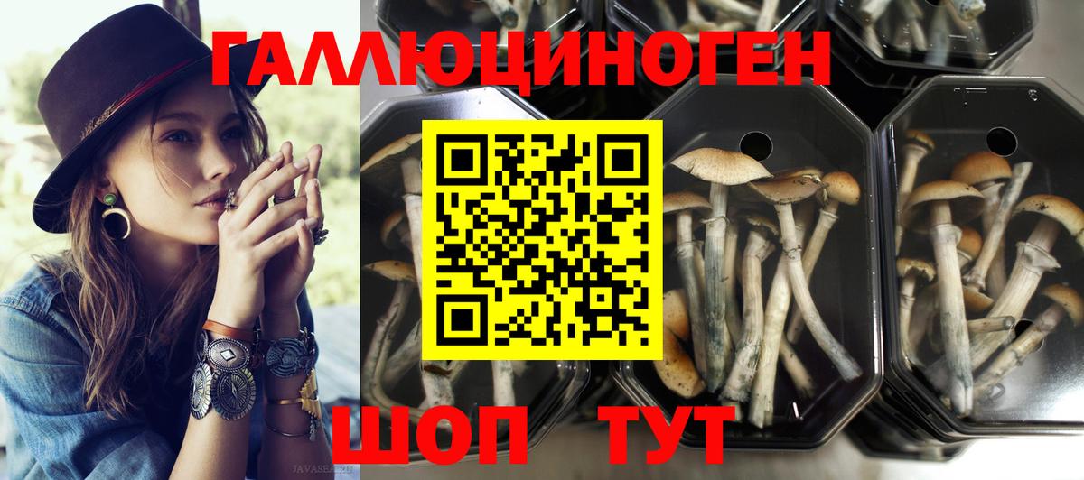 Галлюциногенные грибы MAGIC MUSHROOMS  Вход с VPN  Десногорск  Псилоцибиновые грибы Cubensis 
